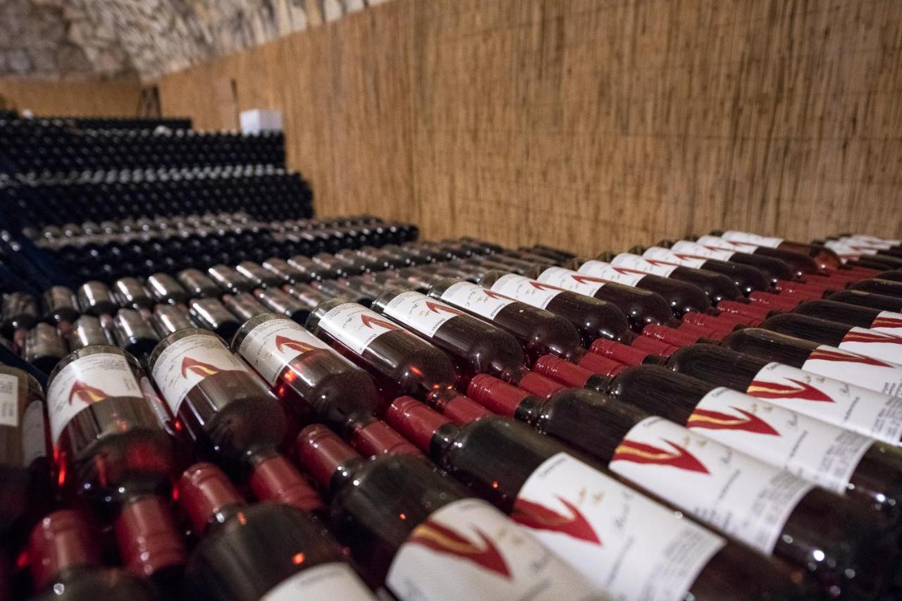 Sekt & Wein - Walter Klein Apartment Illmitz Ngoại thất bức ảnh